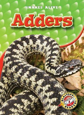 Adders by Ellen Frazel