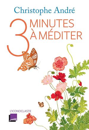 Trois minutes à méditer by Christophe André