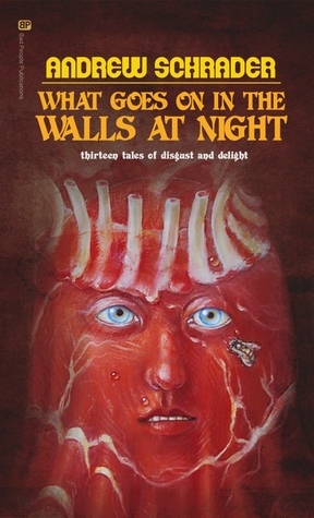 What Goes On In The Walls At Night by Andrew Schrader