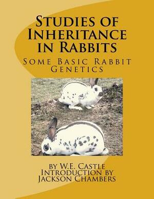 Studies of Inheritance in Rabbits: Some Basic Rabbit Genetics by W. E. Castle