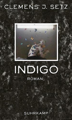 Indigo by Clemens J. Setz