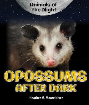 Opossums After Dark by Heather Moore Niver