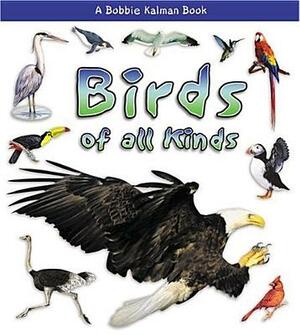 Birds of All Kinds by Rebecca Kalman Sjonger