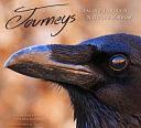 Journeys: Healing Through Nature's Wisdom by Dana Simpson, Karen Roberts