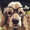 opticflow's profile picture