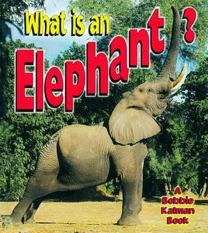 What Is an Elephant? by Bobbie Crossingham Kalman