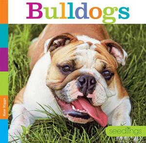 Bulldogs by Kate Riggs