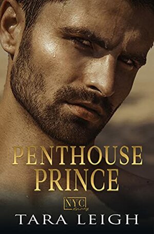 Penthouse Prince by Tara Leigh