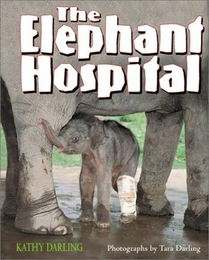 Elephant Hospital by Kathy Darling