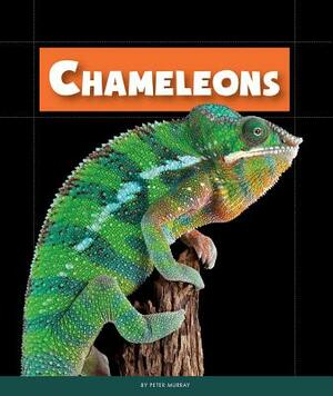 Chameleons by Peter Murray