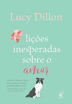 Lições inesperadas sobre o amor by Lucy Dillon