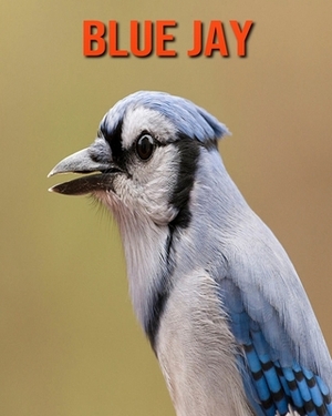 Blue Jay: Learn About Blue Jay and Enjoy Colorful Pictures by Diane Jackson