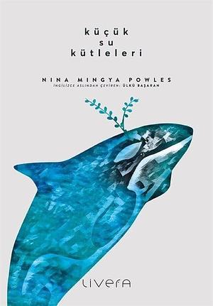 Küçük Su Kütleleri by Ülkü Başaran, Nina Mingya Powles