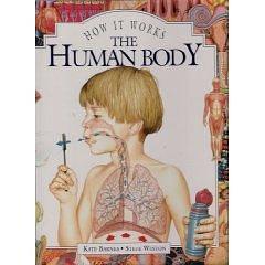 The Human Body by Kate Barnes, Kate Barnes, Steve Weston