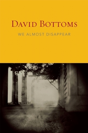 We Almost Disappear by David Bottoms