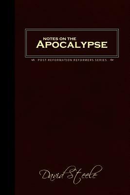 Notes on the Apocalypse by David Steele