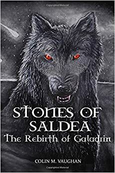 Stones of Saldea: The Rebirth of Galadrin by Colin M. Vaughan