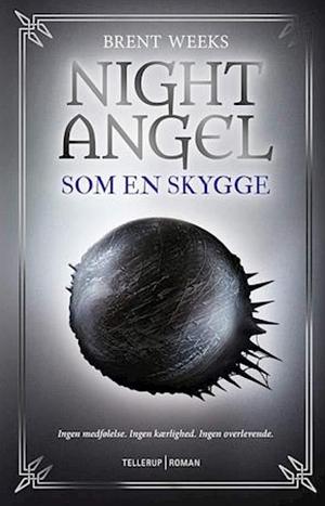 Som en skygge by Brent Weeks