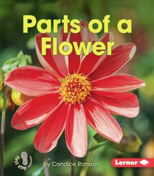 Parts of a Flower by Candice F. Ransom