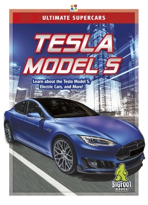 Tesla Model S by Amy C. Rea