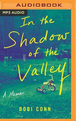 In the Shadow of the Valley: A Memoir by Bobi Conn
