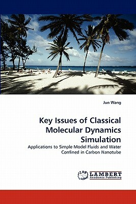 Key Issues of Classical Molecular Dynamics Simulation by Jun Wang