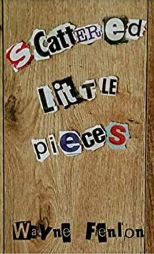 Scattered Little Pieces by Wayne Fenlon