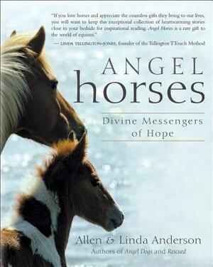 Angel Horses: Divine Messengers of Hope by Linda Anderson, Allen Anderson