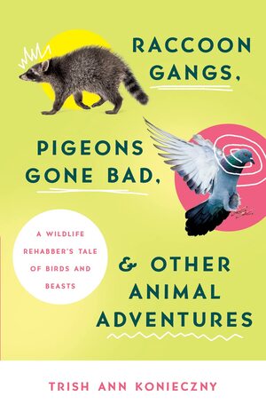 Raccoon Gangs, Pigeons Gone Bad, and Other Animal Adventures : A Wildlife Rehabber's Tale of Birds and Beasts by Trish Ann Konieczny