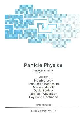 Particle Physics: Cargèse 1987 by Maurice Levy