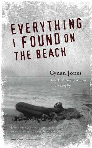 Everything I Found on the Beach by Cynan Jones