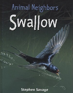 Swallow by Stephen Savage