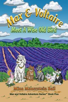 Max and Voltaire Meet a Wise Old Bird by Michael Swaim, Mina Mauerstein Bail