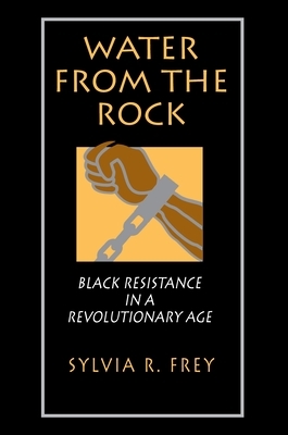 Water from the Rock: Black Resistance in a Revolutionary Age by Sylvia R. Frey