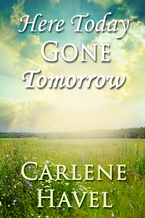 Here Today Gone Tommorow by Carlene Havel