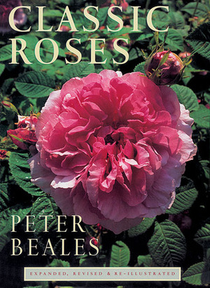 Classic Roses by Peter Beales