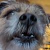 ferskner's profile picture