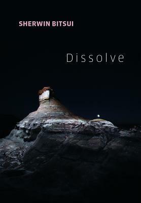 Dissolve by Sherwin Bitsui