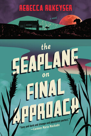 The Seaplane on Final Approach by Rebecca Rukeyser