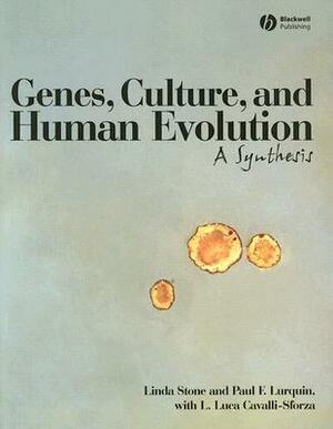 Genes, Culture, and Human Evolution: A Synthesis by L. Luca Cavalli-Sforza, Linda S. Stone, Paul F. Lurquin