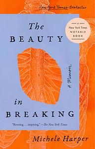 The Beauty in Breaking by Michele Harper