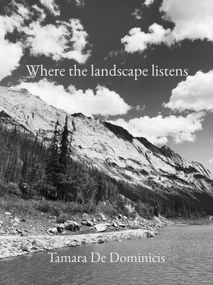 Where the landscape listens by Tamara De Dominicis