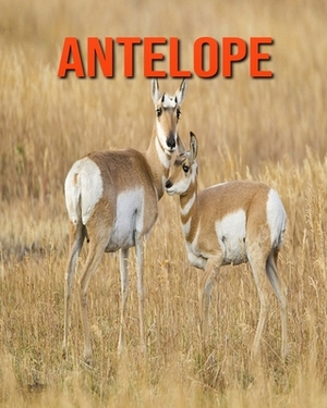 Antelope: Incredible Pictures and Fun Facts about Antelope by William Doyle