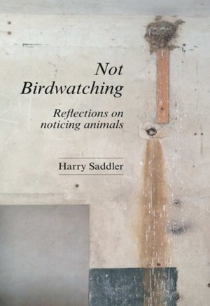 Not Birdwatching: Reflections on noticing animals by Harry Saddler