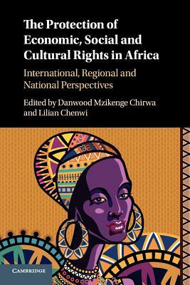 The Protection of Economic, Social and Cultural Rights in Africa by 