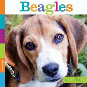 Beagles by Kate Riggs