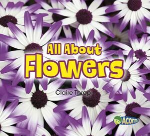 All about Flowers by Claire Throp