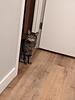 windowsill's profile picture
