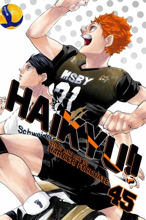 Haikyu!!, Vol. 45 by Haruichi Furudate