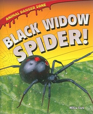 Black Widow Spider! by Willow Clark